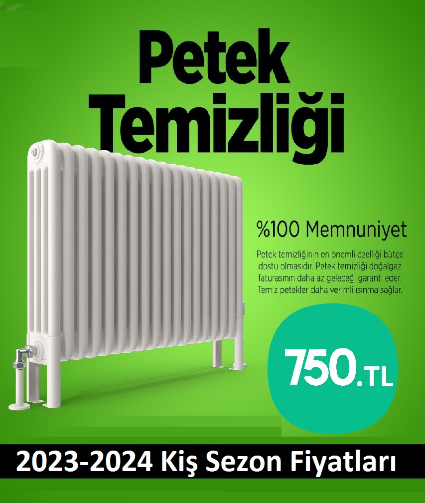 Bahçelievler Petek temizleme